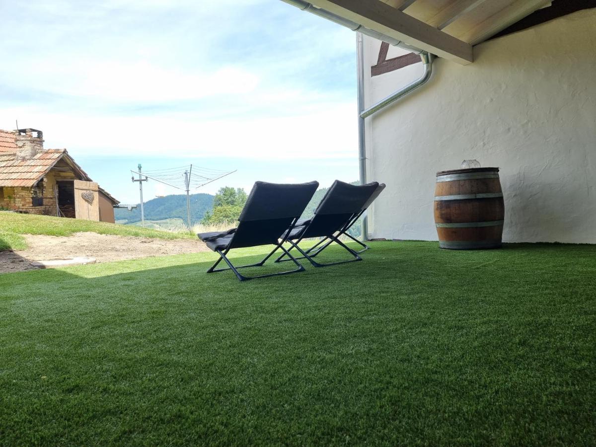 Haus Am Berg Mit Wellnessbereich, Bar Und Panorama Vila Bühlertal Exterior foto
