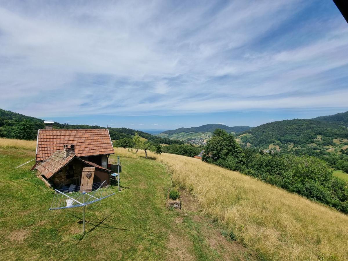 Haus Am Berg Mit Wellnessbereich, Bar Und Panorama Vila Bühlertal Exterior foto